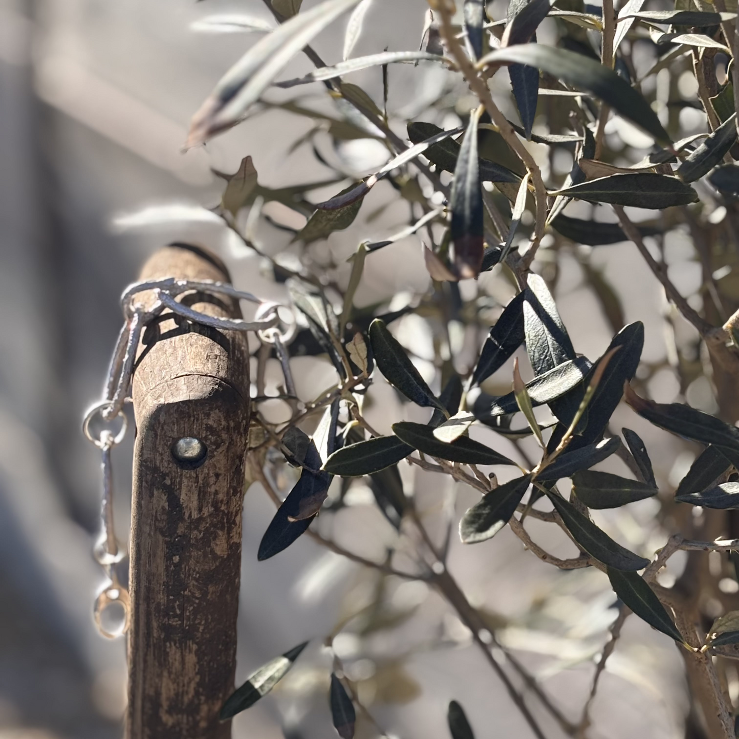 Rustic Silver Gardener's Bracelet