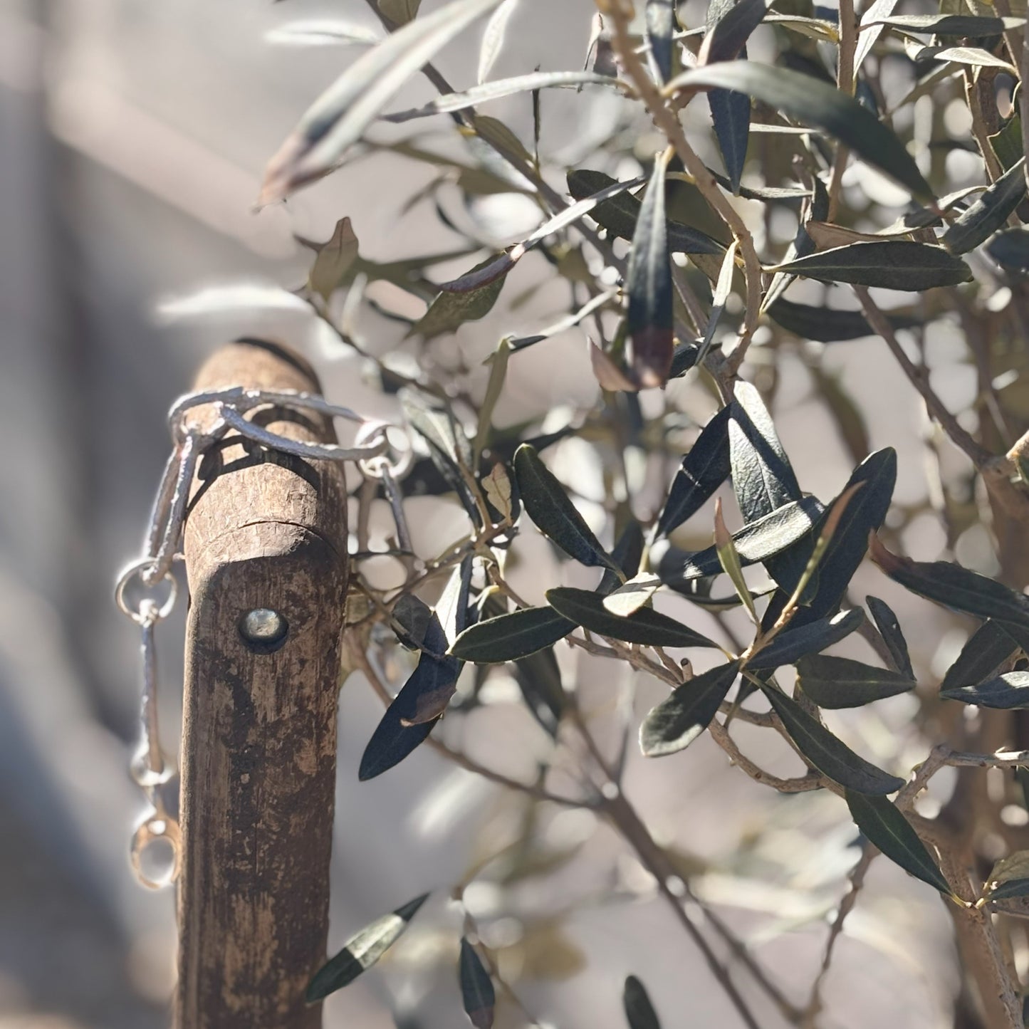 Rustic Silver Gardener's Bracelet