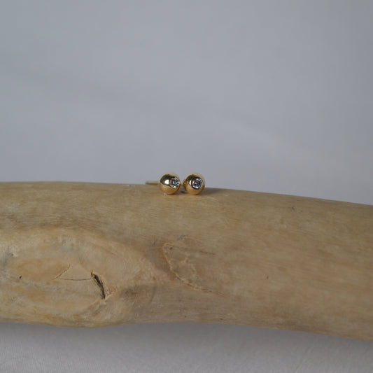 Gold earrings on a wooden branch against a gray background