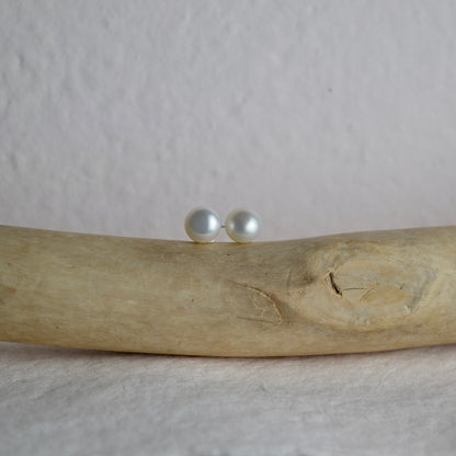 pearl studs, white on branch